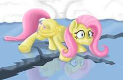 Size: 1024x667 | Tagged: safe, artist:inurantchan, fluttershy, pegasus, pony, female, ice, mare, solo