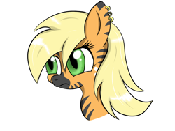 Size: 1000x750 | Tagged: safe, applejack, zebra, ear piercing, earring, jewelry, piercing, simple background, solo, species swap, zebrafied, zebrajack