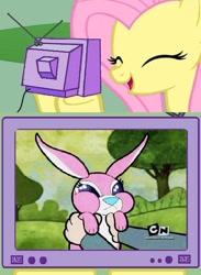 Size: 563x771 | Tagged: safe, fluttershy, pegasus, pony, rabbit, evil, exploitable meme, fs doesn't know what she's getting into, meme, obligatory pony, pure unfiltered evil, the grim adventures of billy and mandy, this will end in tears, tv meme