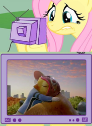 Size: 548x750 | Tagged: safe, fluttershy, pegasus, pony, crying, exploitable meme, meme, obligatory pony, tv meme