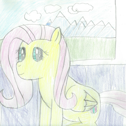Size: 1633x1637 | Tagged: safe, artist:2shyshy, fluttershy, pegasus, pony, newbie artist training grounds, solo, traditional art, train