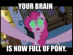 Size: 600x450 | Tagged: safe, screencap, pinkie pie, earth pony, pony, image macro, meme, solo