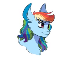 Size: 564x564 | Tagged: safe, artist:scarletskitty12, derpibooru import, rainbow dash, pegasus, pony, bust, female, mare, portrait, simple background, solo, white background