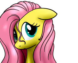 Size: 740x600 | Tagged: safe, artist:hudoyjnik, fluttershy, pegasus, pony, bust, female, floppy ears, looking at you, mare, portrait, simple background, solo, stray strand, three quarter view, white background