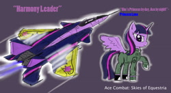 Size: 2650x1440 | Tagged: safe, artist:pak-faace1234, derpibooru import, twilight sparkle, twilight sparkle (alicorn), alicorn, pony, ace combat, f-15 eagle, female, jet, mare