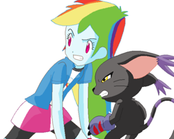 Size: 400x320 | Tagged: artist needed, source needed, safe, derpibooru import, rainbow dash, cat, equestria girls, blackgatomon, crossover, digimon, duo, female, gatomon, simple background, white background