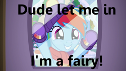 Size: 1280x720 | Tagged: safe, derpibooru import, edit, edited screencap, screencap, rainbow dash, pegasus, pony, best gift ever, bronybait, cute, dashabetes, dude let me in, meme, solo