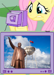 Size: 731x1000 | Tagged: safe, fluttershy, pegasus, pony, drama, exploitable meme, meme, north korea, obligatory pony, sony, tv meme