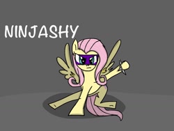 Size: 1024x768 | Tagged: safe, artist:stormytheloner, fluttershy, pegasus, pony, female, mare, ninja, solo