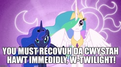 Size: 888x499 | Tagged: safe, princess celestia, princess luna, alicorn, pony, dr. light, elmer fudd, engrish, image macro, megaman, meme