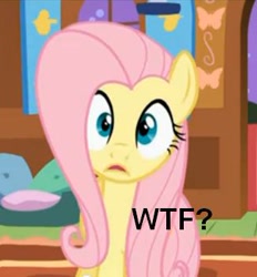 Size: 326x351 | Tagged: safe, fluttershy, pegasus, pony, female, mare, meme, pink mane, solo, yellow coat