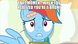 Size: 888x499 | Tagged: safe, derpibooru import, edit, edited screencap, screencap, rainbow dash, pegasus, pony, read it and weep, book, caption, image macro, pillow, realization, text, welcome to the herd