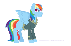 Size: 3944x2592 | Tagged: safe, artist:moonlightnote, derpibooru import, rainbow dash, pegasus, pony, bomber jacket, clothes, jacket, simple background, solo, white background