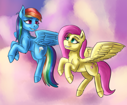 Size: 3500x2900 | Tagged: safe, artist:dukevonkessel, derpibooru import, fluttershy, rainbow dash, pegasus, pony, duo, flying