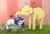 Size: 1280x865 | Tagged: safe, artist:yajima, fluttershy, rarity, big cat, elephant, lion, collaboration, eyes closed, flutterphant, lionified, music notes, one eye closed, petting, prone, rarilion, rawrity, smiling, species swap, unamused, wink