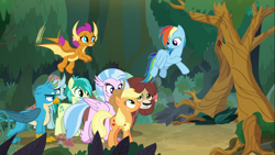 Size: 1366x768 | Tagged: safe, derpibooru import, applejack, gallus, ocellus, rainbow dash, sandbar, silverstream, smolder, yona, changedling, changeling, classical hippogriff, dragon, earth pony, griffon, hippogriff, pegasus, pony, yak, non-compete clause, dragoness, female, flying, forest, male, mare, student six, tree