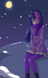 Size: 1542x2500 | Tagged: safe, artist:applestems, derpibooru import, twilight sparkle, human, blushing, clothes, coat, humanized, light skin, moon, night, scarf, snow, snowfall, solo