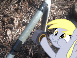 Size: 1024x765 | Tagged: safe, artist:didgereethebrony, derpy hooves, pony, duct tape, faic, irl, photo, ponies in real life, railing, repair, solo