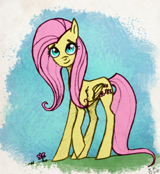 Size: 900x979 | Tagged: safe, artist:bluefluffydinosaur, fluttershy, pegasus, pony, female, mare, pink mane, solo, yellow coat