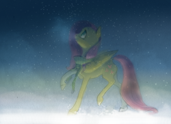 Size: 2591x1878 | Tagged: safe, artist:wolfiedrawie, fluttershy, pegasus, pony, clothes, looking up, profile, raised hoof, scarf, snow, snowfall, solo