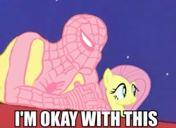 Size: 483x352 | Tagged: safe, fluttershy, pegasus, pony, 60s spider-man, crossover, female, image macro, mare, meme, spider-man