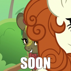 Size: 600x600 | Tagged: safe, edit, edited screencap, screencap, autumn blaze, maple brown, kirin, sounds of silence, background kirin, caption, cropped, female, image macro, lidded eyes, meme, smiling, soon, text