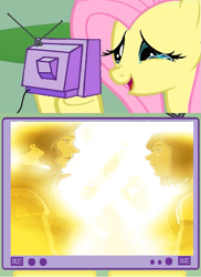 Size: 563x772 | Tagged: safe, fluttershy, pegasus, pony, asami sato, exploitable meme, female, korra, korrasami, lesbian, meme, obligatory pony, spoiler, the legend of korra, tv meme