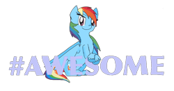 Size: 1024x535 | Tagged: safe, artist:princessmuffinart, derpibooru import, rainbow dash, pegasus, pony, design, faic, hashtag, shirt design, smug, smugdash, teepublic