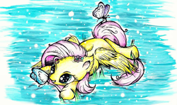 Size: 754x445 | Tagged: safe, artist:xxsilvixx, fluttershy, butterfly, pegasus, pony, flower, flower in hair, insect on nose, prone, smiling, solo, spread wings, traditional art