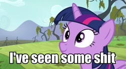 Size: 848x464 | Tagged: safe, derpibooru import, twilight sparkle, twilight sparkle (alicorn), alicorn, bats!, image macro, reaction image, solo, vulgar