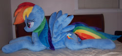 Size: 1737x800 | Tagged: safe, artist:agatrix, derpibooru import, rainbow dash, bed, bedroom eyes, irl, photo, plushie, solo