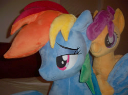 Size: 1067x800 | Tagged: safe, artist:agatrix, artist:penniesponyplushies, derpibooru import, rainbow dash, scootaloo, irl, photo, plushie