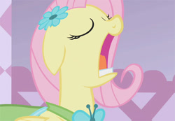 Size: 500x346 | Tagged: safe, screencap, fluttershy, pegasus, pony, clothes, dress, eyes closed, gala dress, open mouth, solo