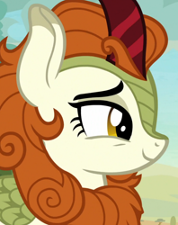 Size: 720x911 | Tagged: safe, screencap, autumn blaze, kirin, sounds of silence, cropped, solo