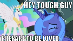 Size: 500x284 | Tagged: safe, princess celestia, princess luna, alicorn, pony, image macro, meme, s1 luna