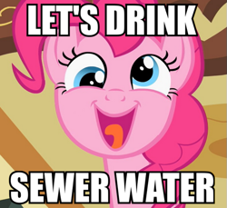 Size: 545x500 | Tagged: safe, pinkie pie, earth pony, pony, female, image macro, mare, meme, pink coat, solo