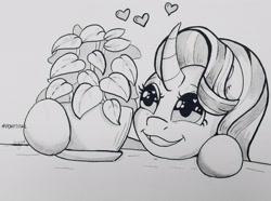 Size: 3162x2353 | Tagged: safe, artist:lightisanasshole, phyllis, starlight glimmer, pony, unicorn, affection, big eyes, curved horn, female, grin, heart, heart eyes, horn, hug, inktober, mare, marker drawing, monochrome, phylliglimmer, sentimental value, shiny eyes, smiling, solo, table, traditional art, wingding eyes