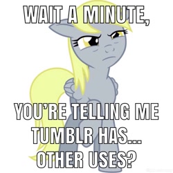 Size: 1024x1024 | Tagged: safe, derpy hooves, pony, caption, image macro, meme, text, tumblr, tumblr 2018 nsfw purge, tumblr purge