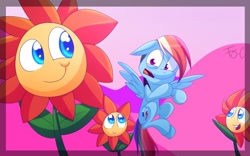 Size: 1024x640 | Tagged: safe, artist:fj-c, derpibooru import, rainbow dash, pegasus, pony, do princesses dream of magic sheep, nightmare, nightmare sunflower, sunflower