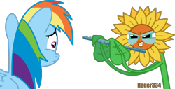 Size: 1861x947 | Tagged: safe, artist:roger334, derpibooru import, rainbow dash, pegasus, pony, do princesses dream of magic sheep, creepy, evil, flute, frown, glare, grin, musical instrument, nightmare, nightmare sunflower, ponyscape, scared, simple background, smirk, sunflower, the power of luna compels you, transparent background, vector, wide eyes