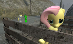 Size: 1076x645 | Tagged: safe, artist:didgereethebrony, derpy hooves, fluttershy, oc, oc:didgeree, pegasus, pony, 3d, bridge, gmod, implied shipping, sad