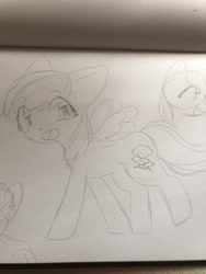 Size: 960x1280 | Tagged: safe, artist:koiisu, derpibooru import, rainbow dash, pegasus, pony, sketch, smiling, solo, traditional art