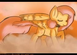 Size: 504x360 | Tagged: safe, artist:juniormintotter, fluttershy, pegasus, pony, female, mare, pink mane, solo, yellow coat