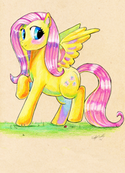 Size: 638x878 | Tagged: safe, artist:lovelessrapture, fluttershy, pegasus, pony, female, mare, solo, traditional art