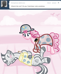 Size: 500x600 | Tagged: safe, artist:alipes, pinkie pie, oc, oc:fetchbeer, earth pony, pony, zebra, ask, ask pinkie pierate, bottle, clothes, hat, pirate, tumblr