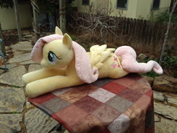 Size: 2560x1920 | Tagged: safe, artist:neysanight, fluttershy, irl, photo, plushie, solo