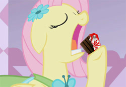 Size: 500x346 | Tagged: safe, edit, edited screencap, screencap, fluttershy, pegasus, pony, chocolate, eating, kit kat