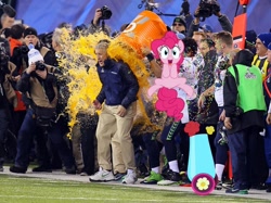 Size: 1022x763 | Tagged: safe, pinkie pie, human, american football, gatorade, gatorade bath, irl, irl human, nfl, party cannon, pete carroll, photo, russell wilson, seattle seahawks, super bowl, super bowl champions, super bowl xlviii