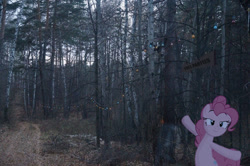 Size: 960x638 | Tagged: safe, pinkie pie, forest, implied grimdark, irl, photo, photomanipulation, ponies in real life