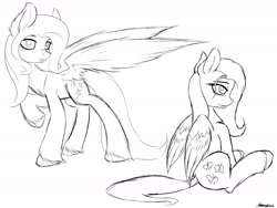 Size: 6400x4800 | Tagged: safe, artist:strachattack, fluttershy, pegasus, pony, absurd resolution, monochrome, sketch